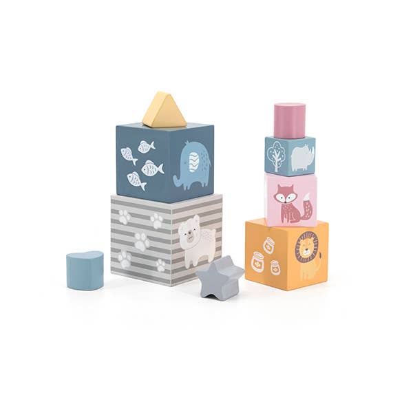 PolarB Nesting & Stacking Blocks